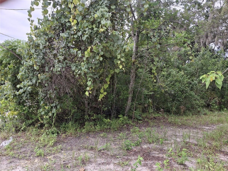 15371 Winner Ln, Hudson, FL 34667