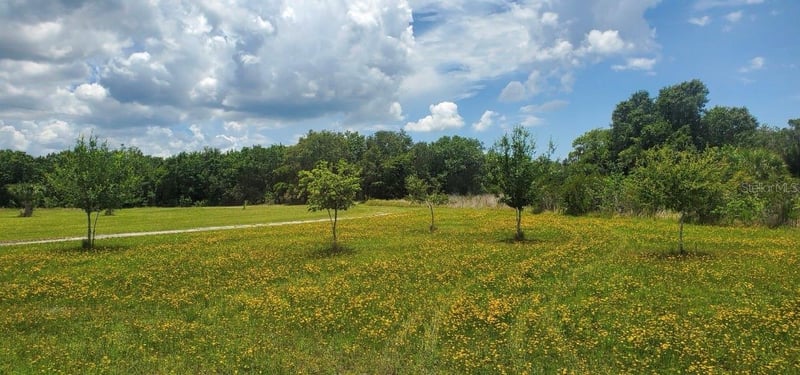 15908 Lake Dr, Wimauma, FL 33598