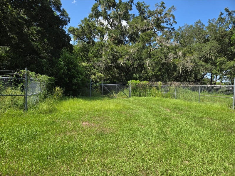 11110 Serenity Oaks Ln, Thonotosassa, FL 33592