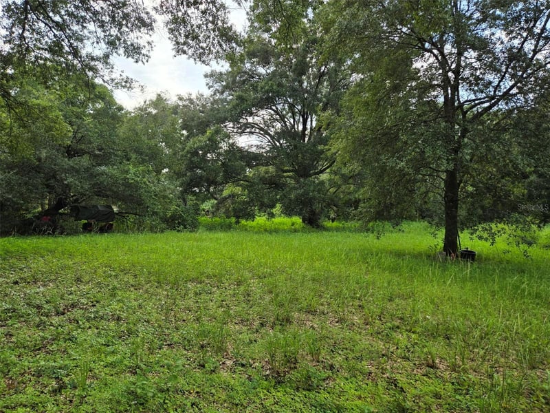 11110 Serenity Oaks Ln, Thonotosassa, FL 33592