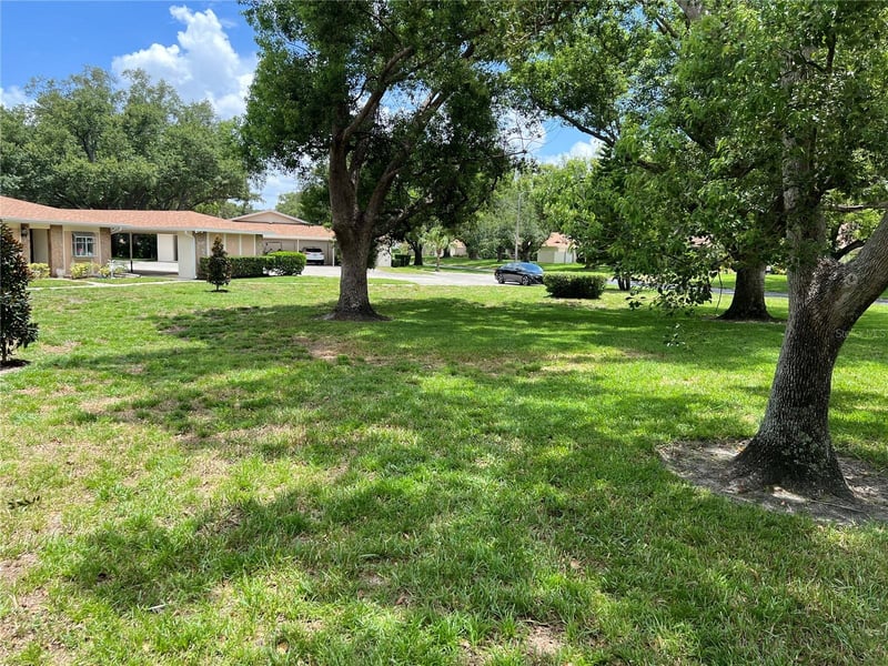 2297 Lark Cir #C, Palm Harbor, FL 34684