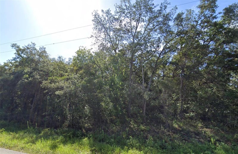 Akins Dr, Spring Hill, FL 34610