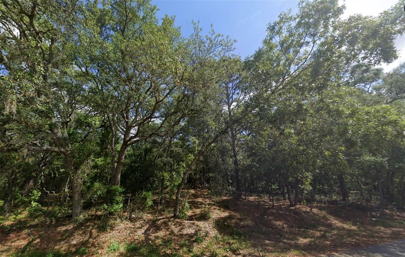 Todd Trl, Spring Hill, FL 34610