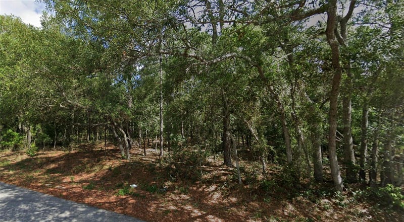 Todd Trl, Spring Hill, FL 34610