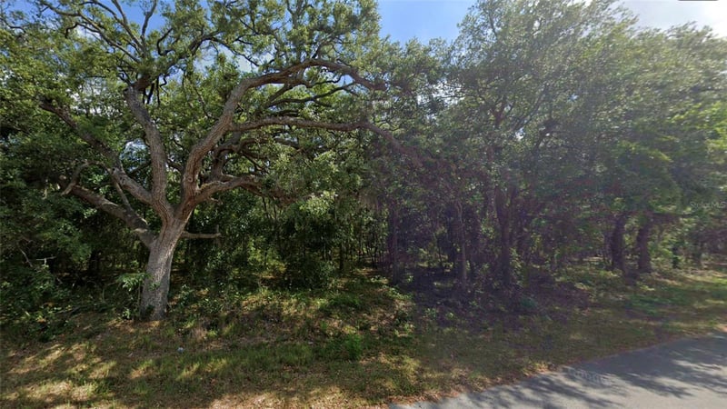 Todd Trl, Spring Hill, FL 34610