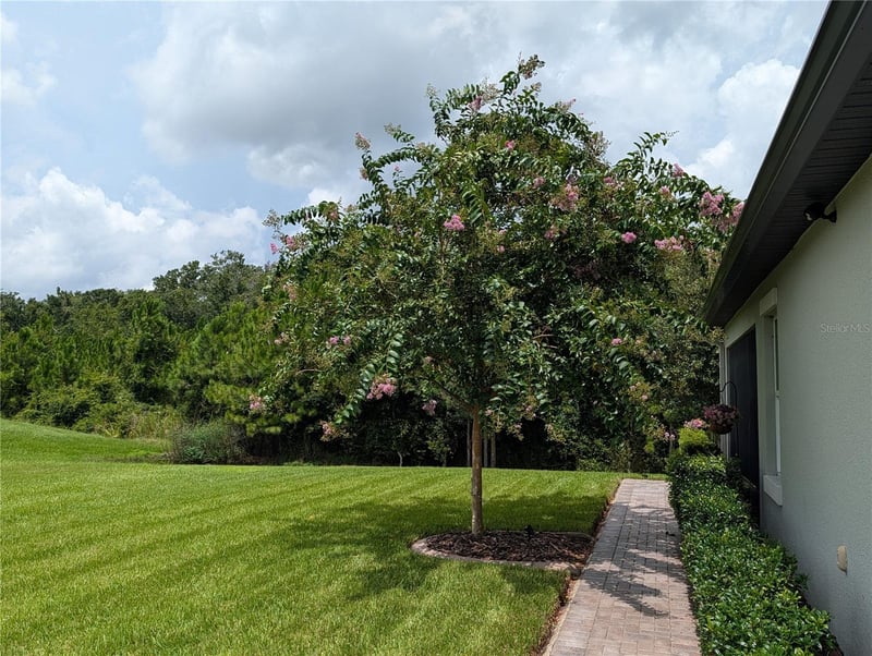 16711 Shell Bay Dr, Land O Lakes, FL 34638