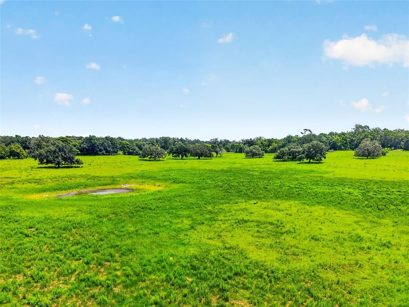 TBD Trilby Cemetery Rd, Dade City, FL 33523