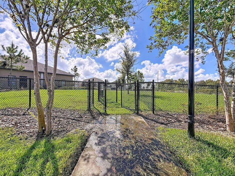 13360 Willow Bluestar Loop, Riverview, FL 33579