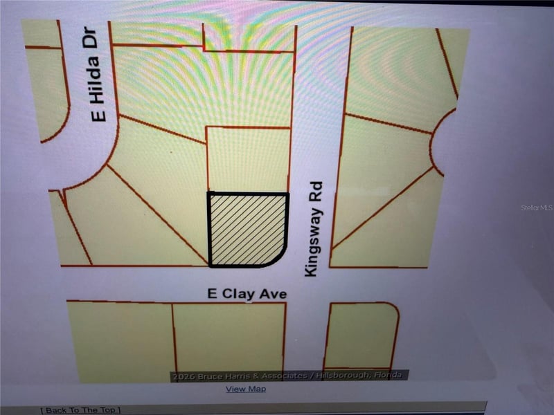 Clay Ave, Brandon, FL 33510