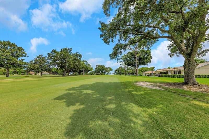 1308 Gillespie Dr, Palm Harbor, FL 34684