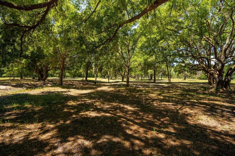 Miller Rd, Dade City, FL 33525