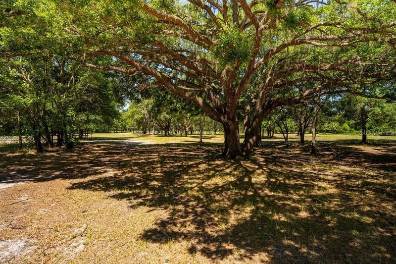 Miller Rd, Dade City, FL 33525
