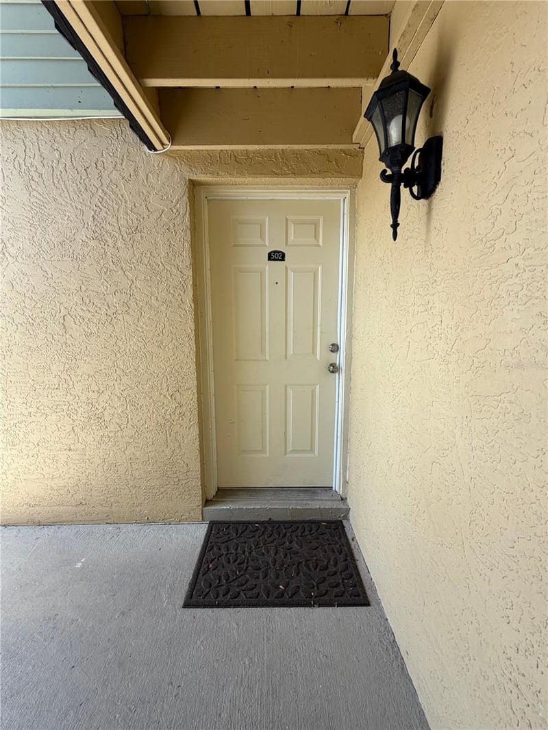 502 Golden Raintree Pl, Brandon, FL 33510