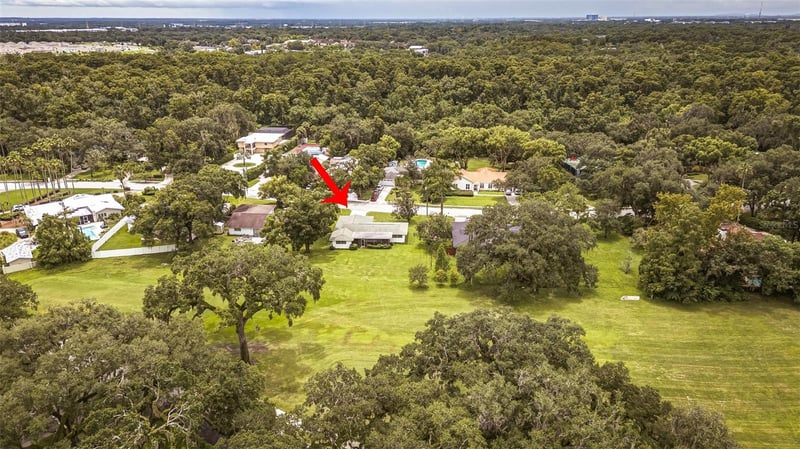 936 Riverhills Dr, Tampa, FL 33617