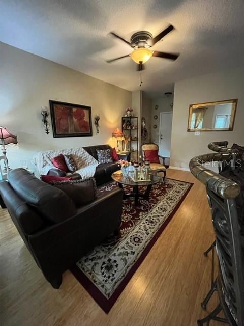 1910 Palm Ave #10303, Tampa, FL 33605