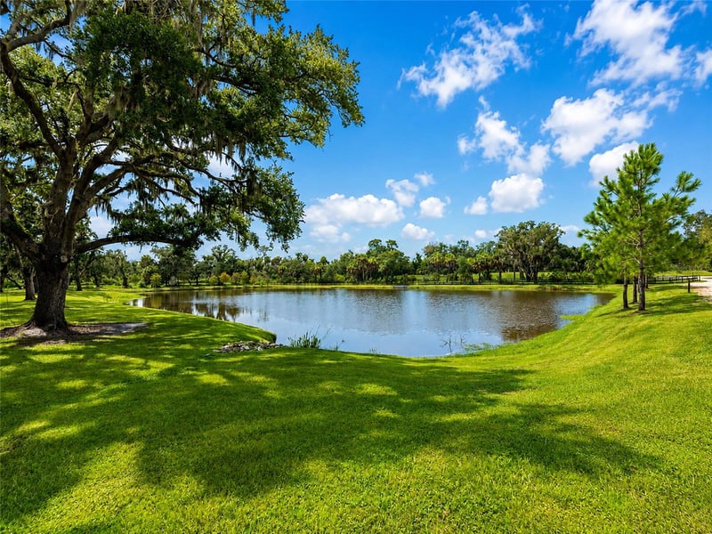 14941 Barrows Bluff Ter, Bradenton, FL 34212