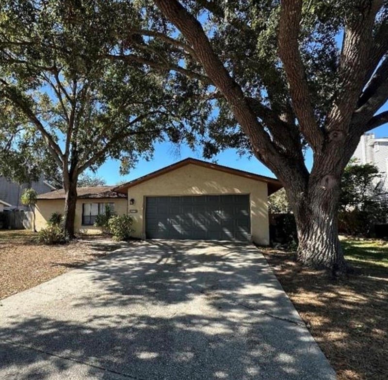 4305 Ellenville Pl, Valrico, FL 33596
