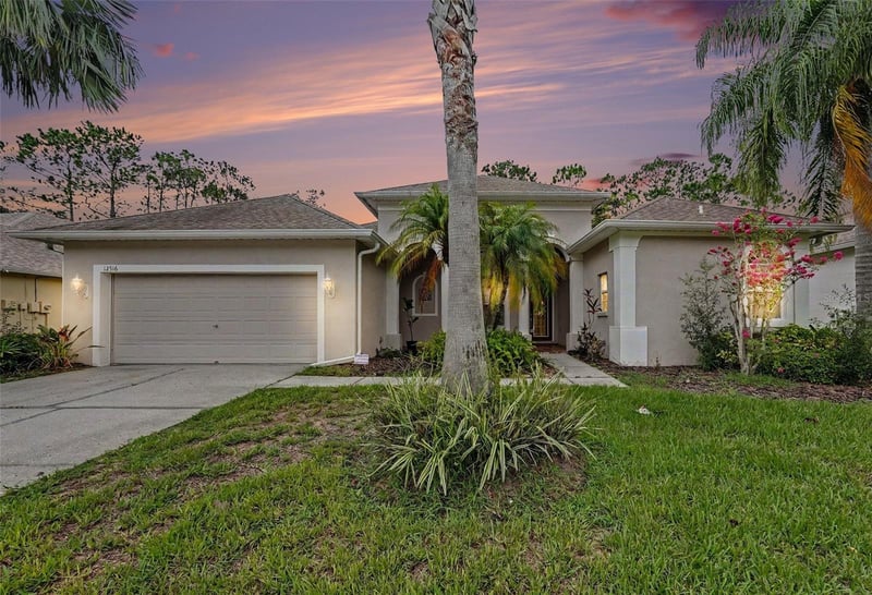 12516 Leatherleaf Dr, Tampa, FL 33626