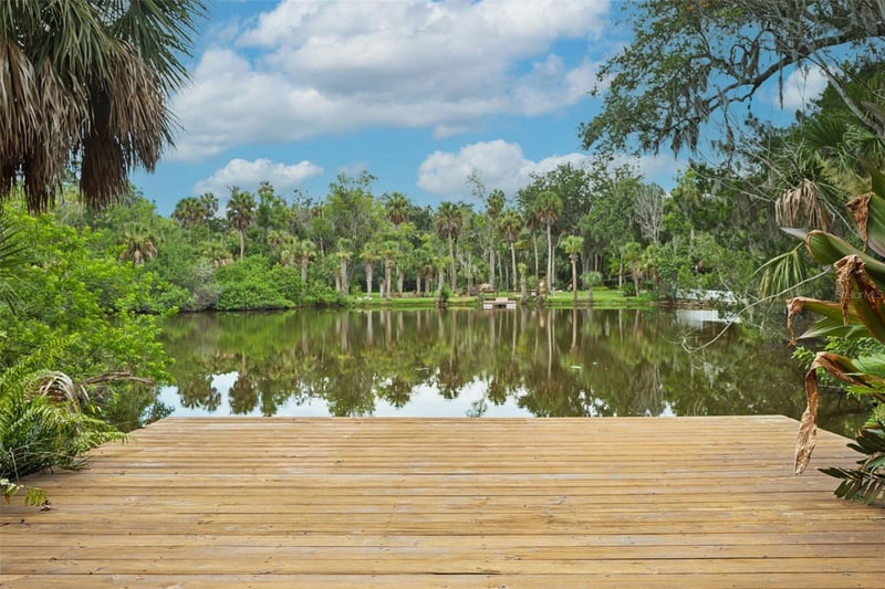 4521 Edith St, New Port Richey, FL 34652