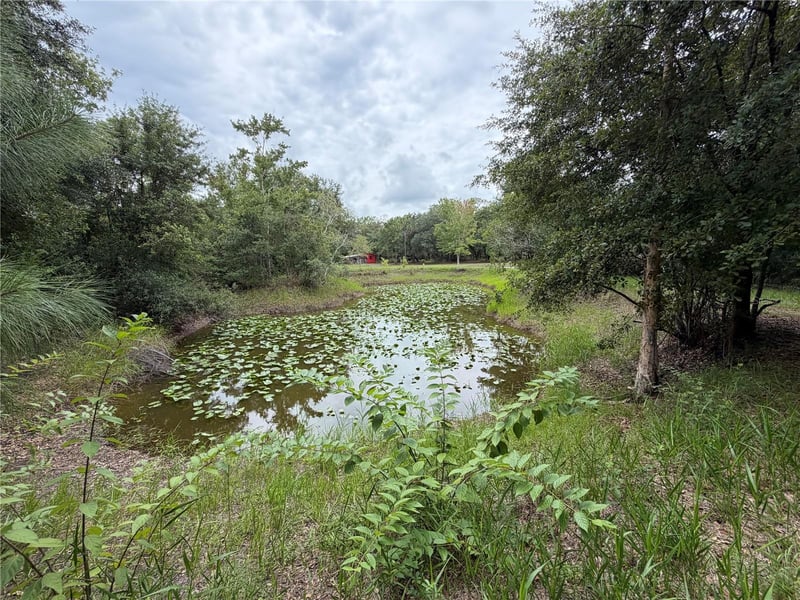 14150 , Wimauma, FL 33598