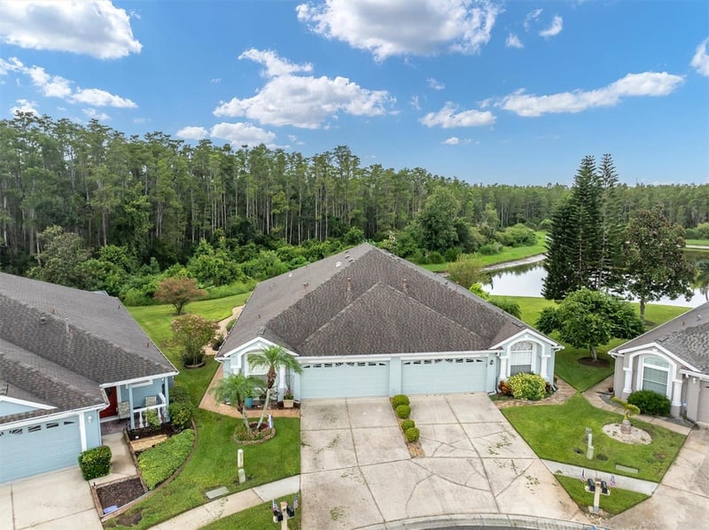 19320 Haskell Pl, Land O Lakes, FL 34638