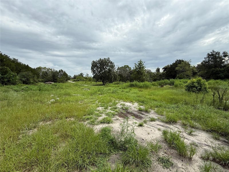 16036 Bosley Dr, Spring Hill, FL 34610