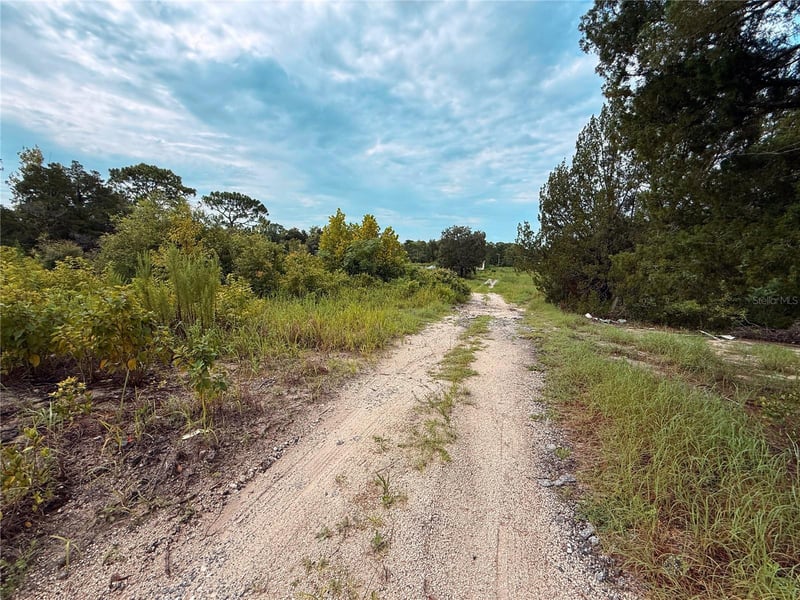 16036 Bosley Dr, Spring Hill, FL 34610