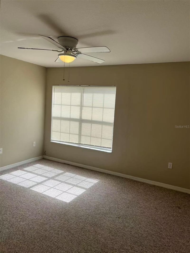 Tampa, FL 33626