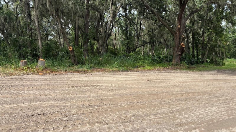 East Cherry St, Plant City, FL 33563