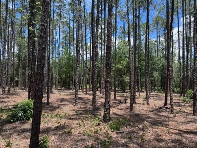 18517 Livingston Ave, Lutz, FL 33559