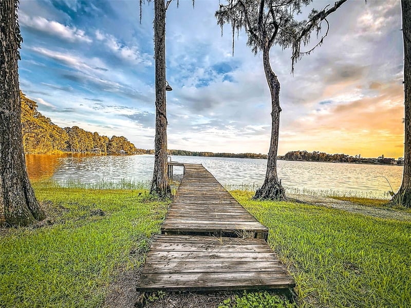 14710 Coloma Ln, Odessa, FL 33556