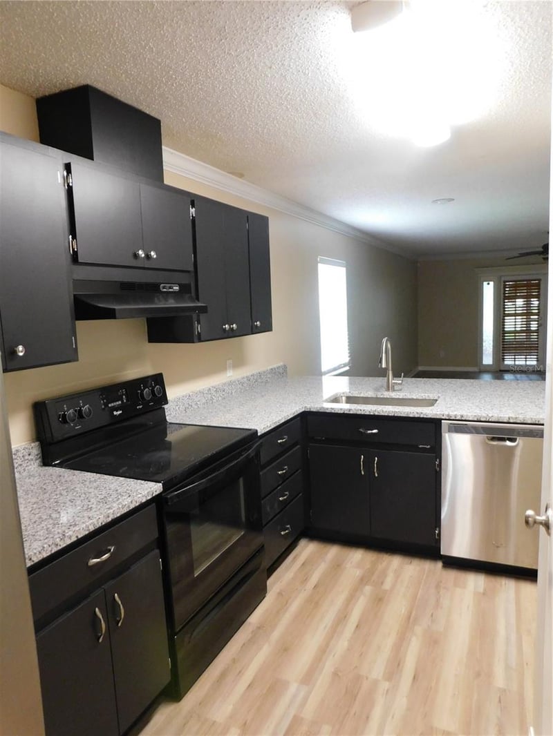 1628 Baker Rd, Lutz, FL 33559