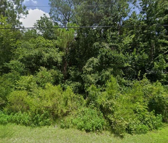 00 Lake Dr, New Port Richey, FL 34654