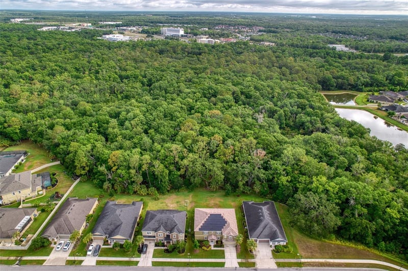 26888 Fiddlewood Loop, Wesley Chapel, FL 33544