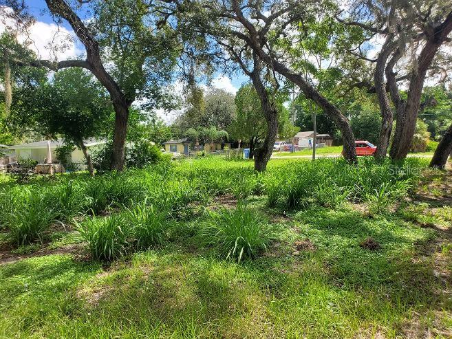 1922 Virginia Ave, Tarpon Springs, FL 34689