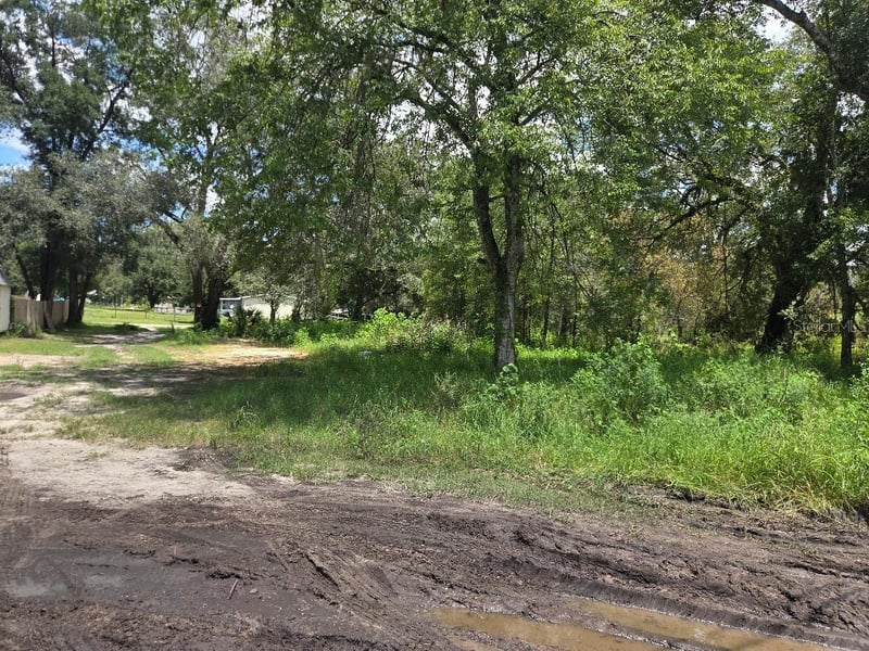 39249 Lizabeth Cir, Zephyrhills, FL 33542