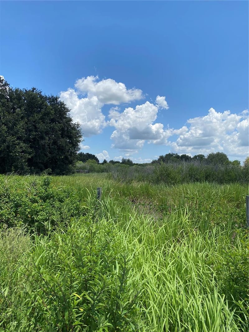 12532 Andrews Rd, Wimauma, FL 33598