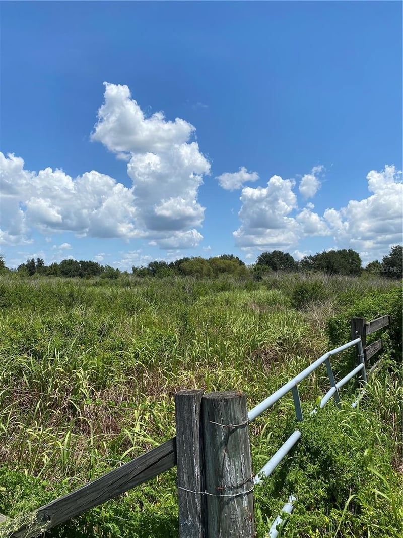 12532 Andrews Rd, Wimauma, FL 33598