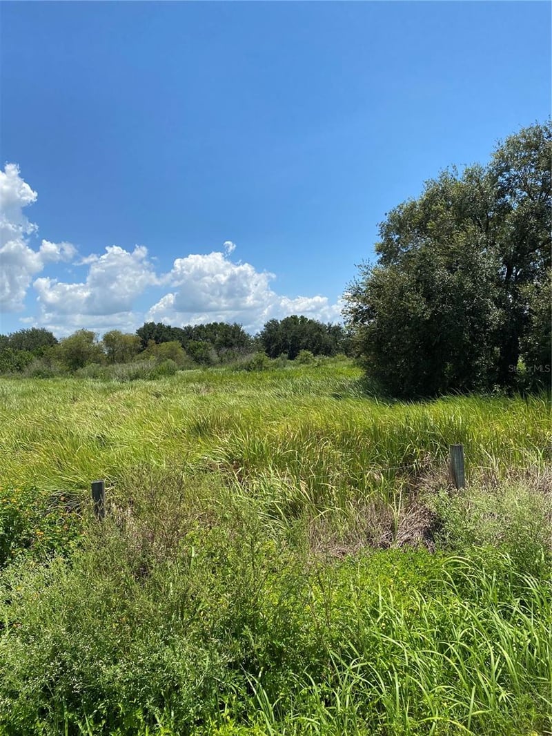 12532 Andrews Rd, Wimauma, FL 33598