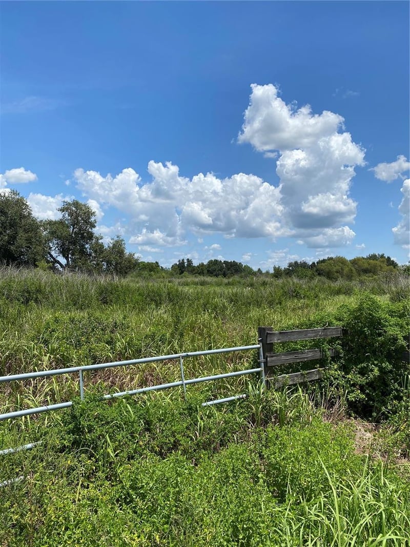 12532 Andrews Rd, Wimauma, FL 33598