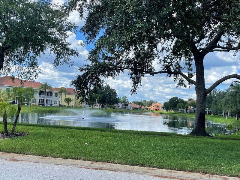 21127 San Pablo Dr, Land O Lakes, FL 34637