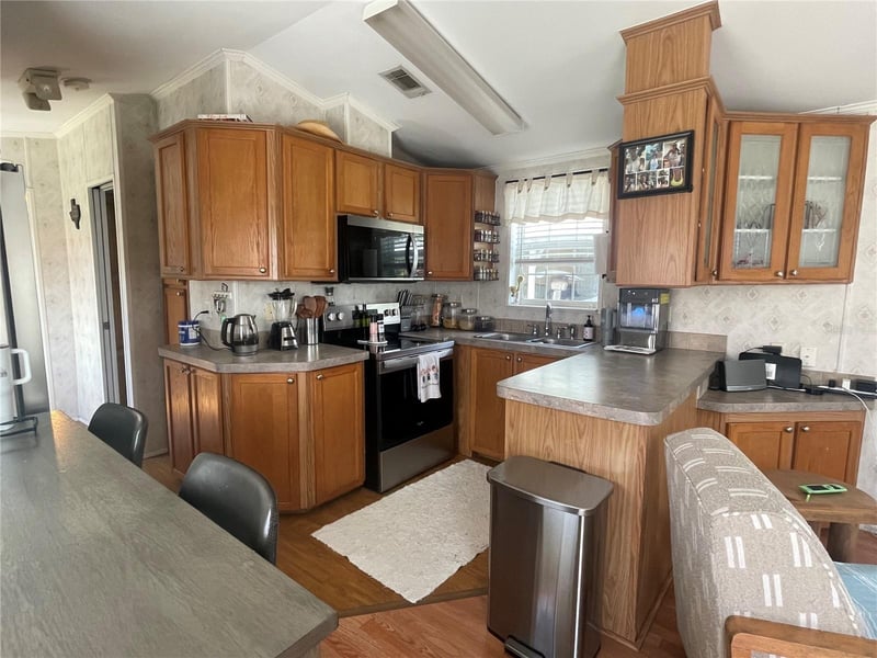 21127 San Pablo Dr, Land O Lakes, FL 34637
