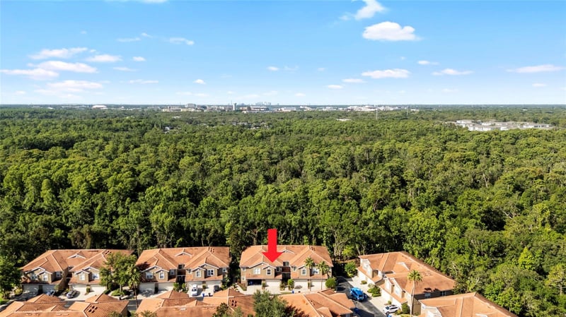 4920 Anniston Cir, Tampa, FL 33647