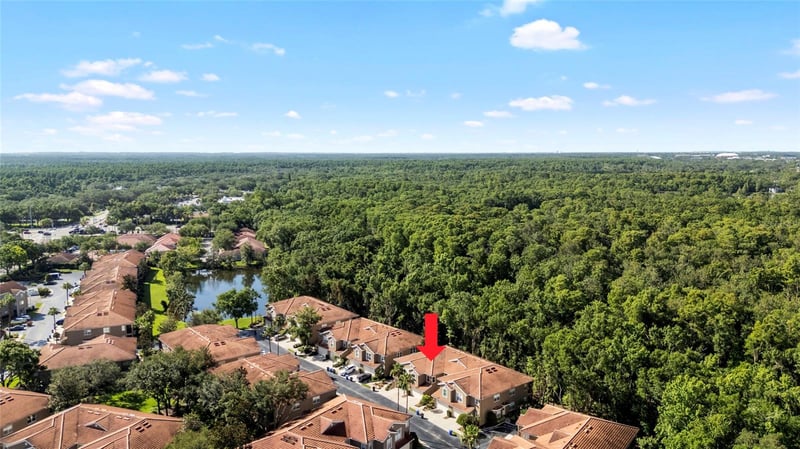4920 Anniston Cir, Tampa, FL 33647