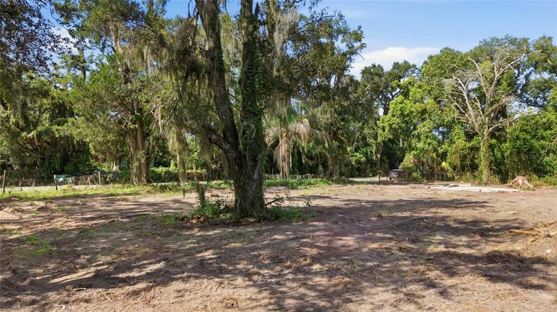 39211 Jarvis St, Dade City, FL 33523