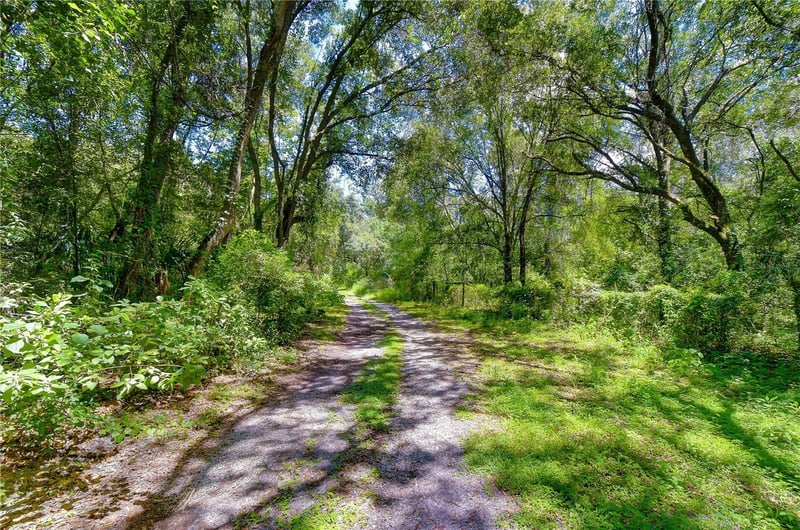3801 Pate Rd, Zephyrhills, FL 33541