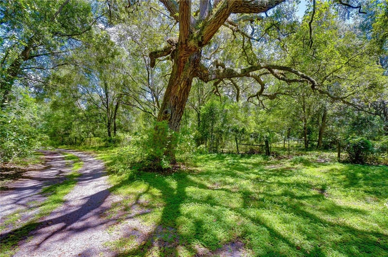 3801 Pate Rd, Zephyrhills, FL 33541