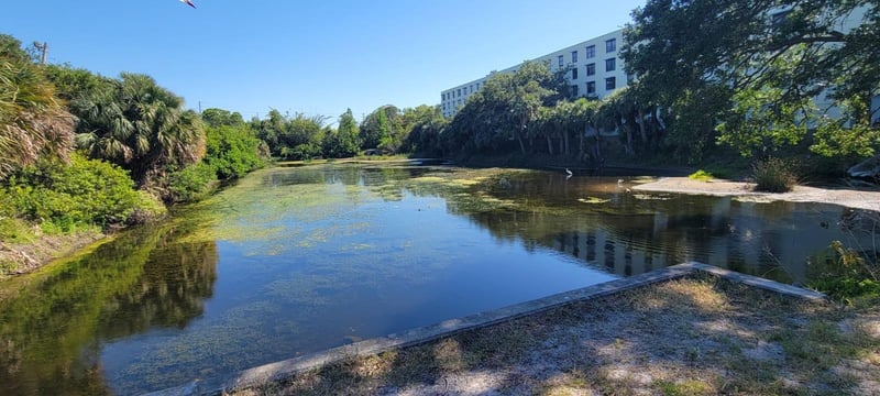 701 S Madison Ave #316, Clearwater, FL 33756