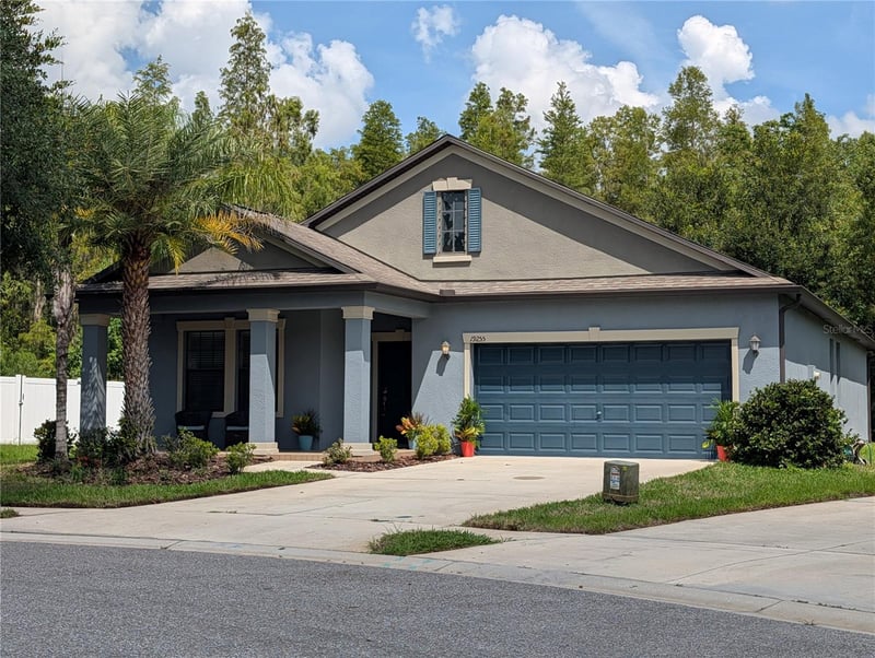 19255 Alexandrea Lee Ct, Land O Lakes, FL 34638