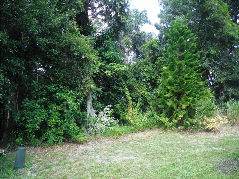 102 Natures Trl #79, Safety Harbor, FL 34695